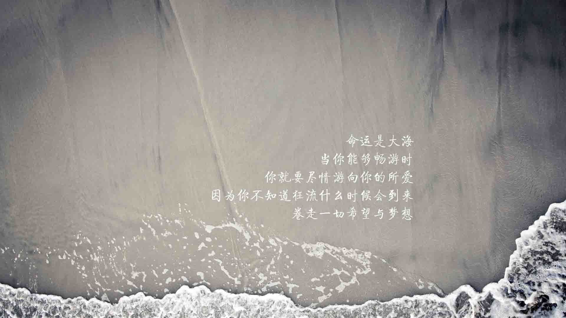 开云·体育官网APP下载-真相：沙尔克奇才逆转晋级，欧冠四强！，沙尔克04欧冠战绩