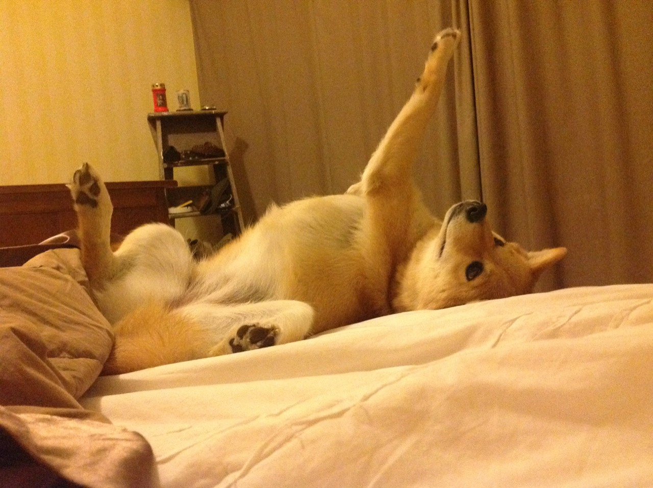 kaiyun开云·官方网站-高校校园体育文化生态体系构建分析，校园体育文化建设对于塑造大学生的健康体质和完整人格