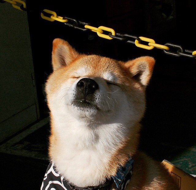 花样滑冰训练节奏调整增强动作稳定性，花样滑冰训练方法