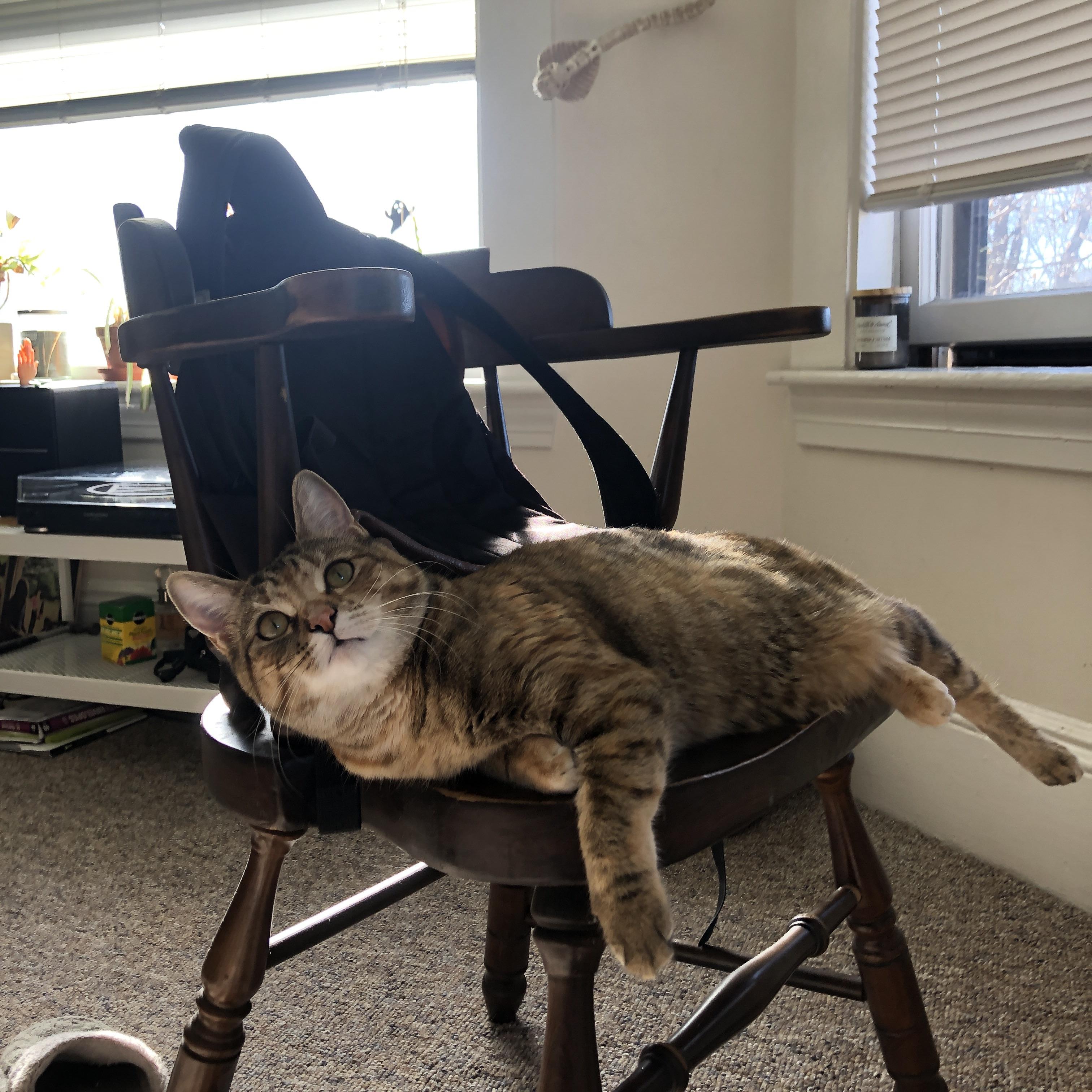 南非女将团体协作展现整体实力，南非女预警