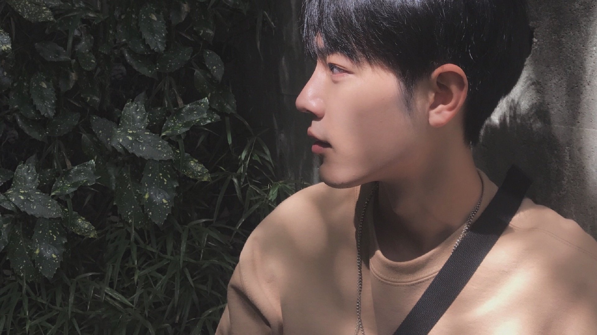 国王专注防守端优化轮换体系,国王经典阵容