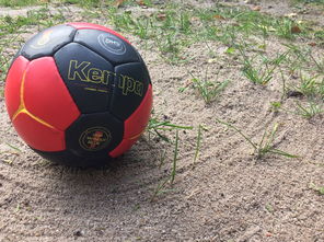 Kaiyun(中国)开云-安提瓜和巴布达在中美洲锦标赛中夺冠，体育实力不断崛起