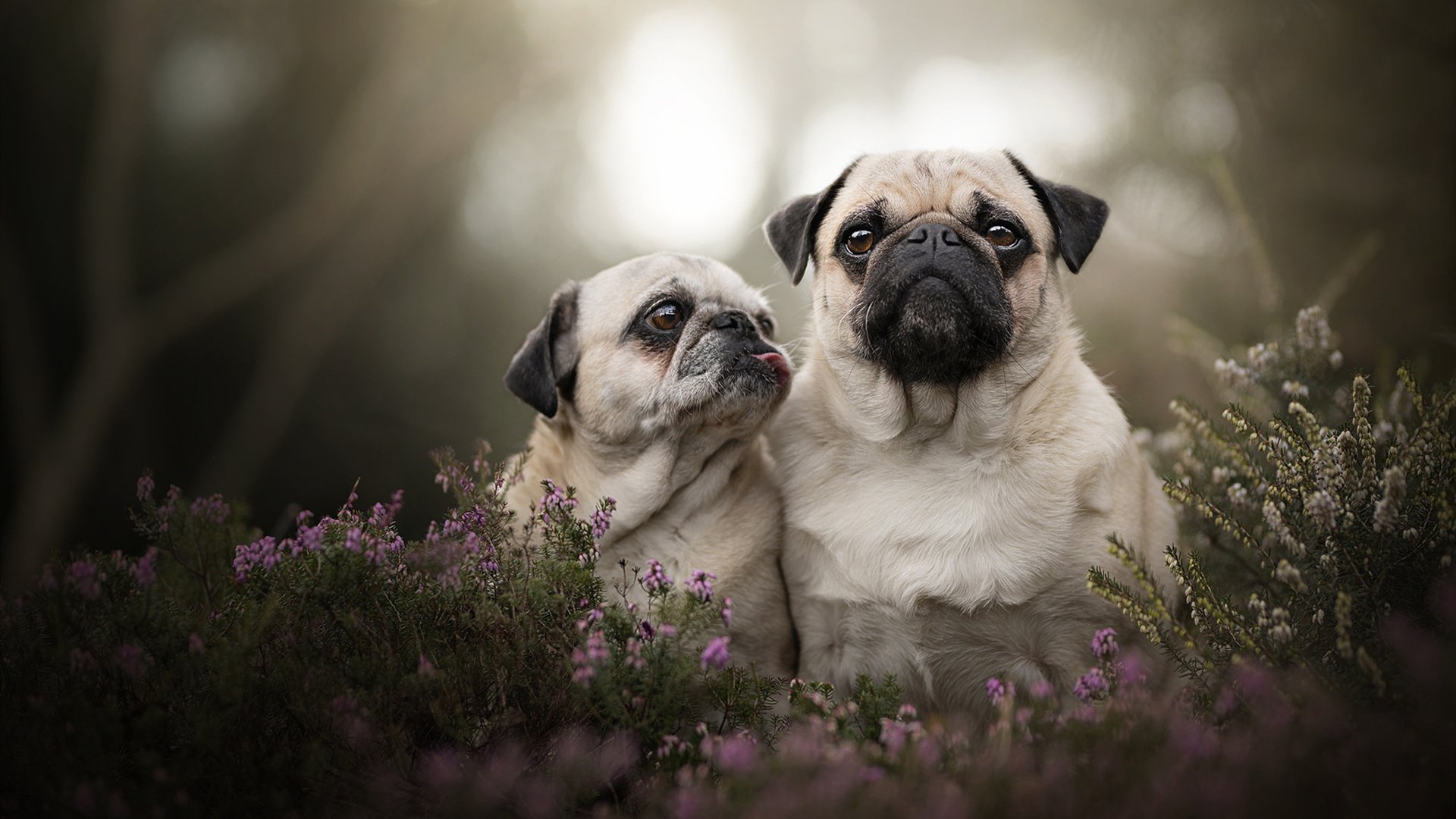 村级篮球赛融合社区公益激发基层体育热情，村级篮球比赛