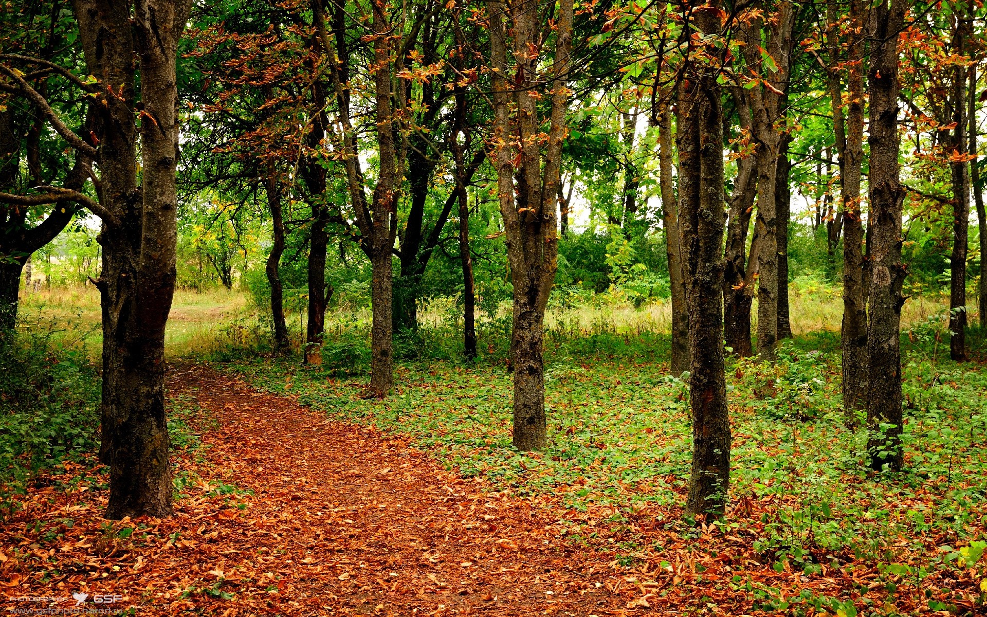 kaiyun登录入口-职业联赛推动社会公益篮球活动传播正能量，篮球公益课流程