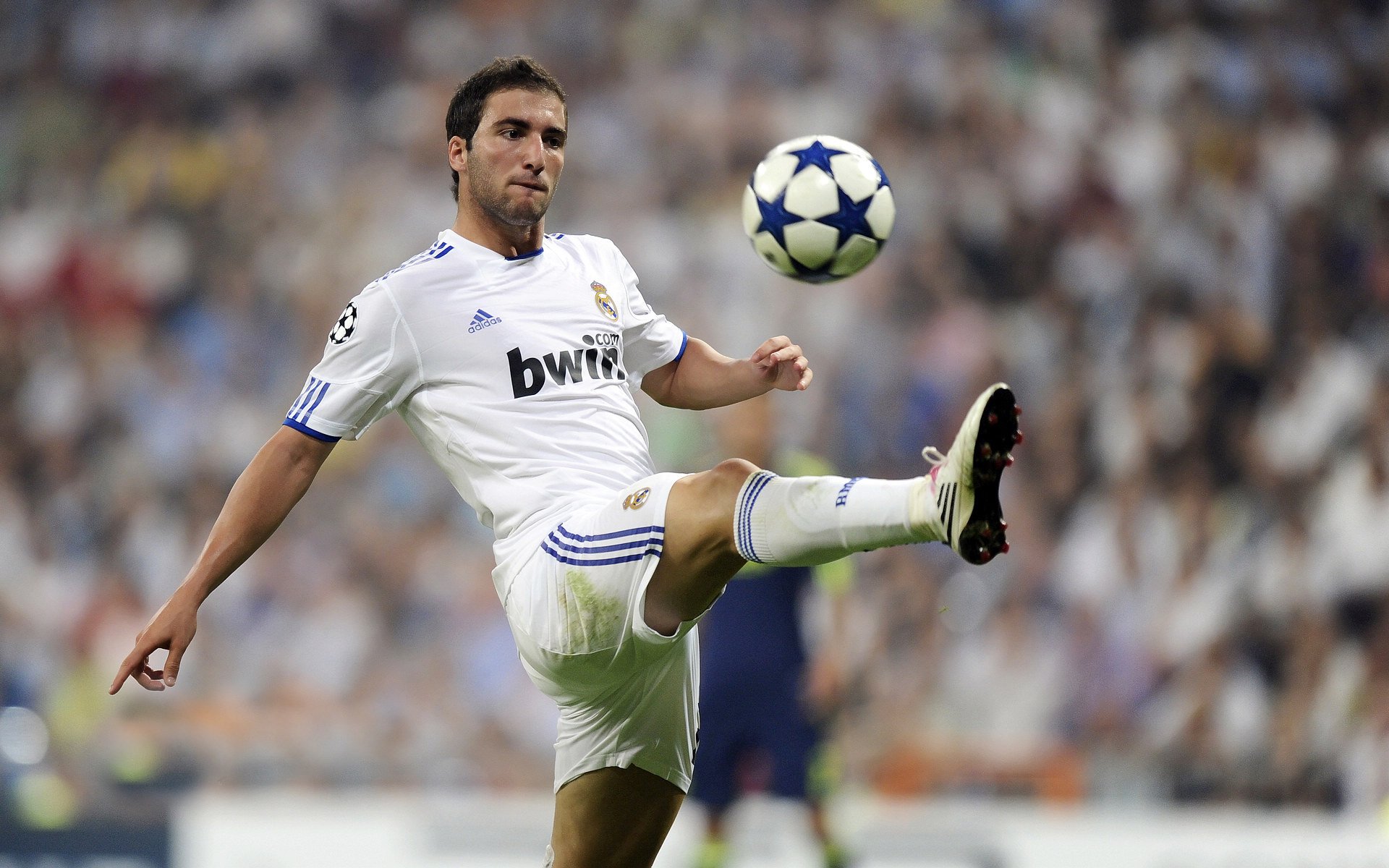 未来挑战:Chinese Taipei团队如何迎接更大国际赛事